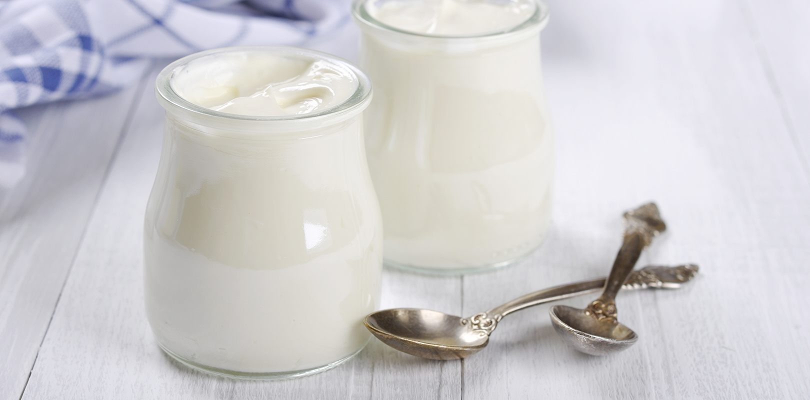 Interview of Prof Mauro Fisberg - History of Yogurt and Current ...