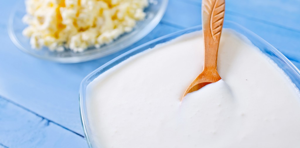 YOGURTBENEFICIALBACTERIA Yogurt in Nutrition