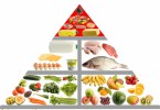 food pyramid