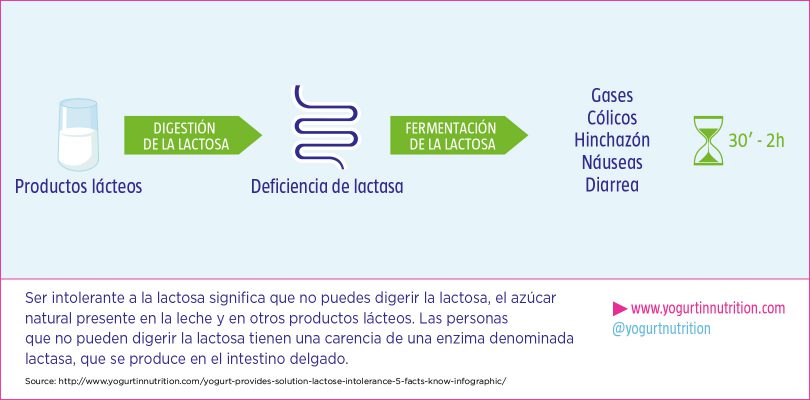 DIGESTIÓN DE LA LACTOSA