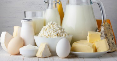 Dairy products- milk-cottage-cheese-eggs-yogurt