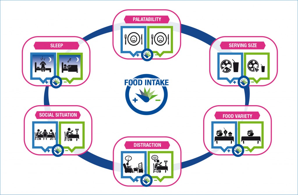 Influences of external factors on food intake