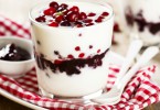 What to remember from 3 decades of research on yogurt?