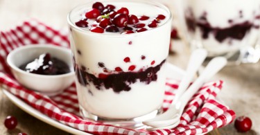 What to remember from 3 decades of research on yogurt?