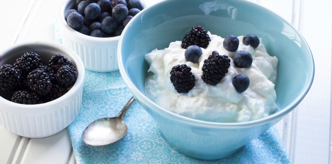 Greek yogurt, a beneficial source of nutrients Yogurt in Nutrition