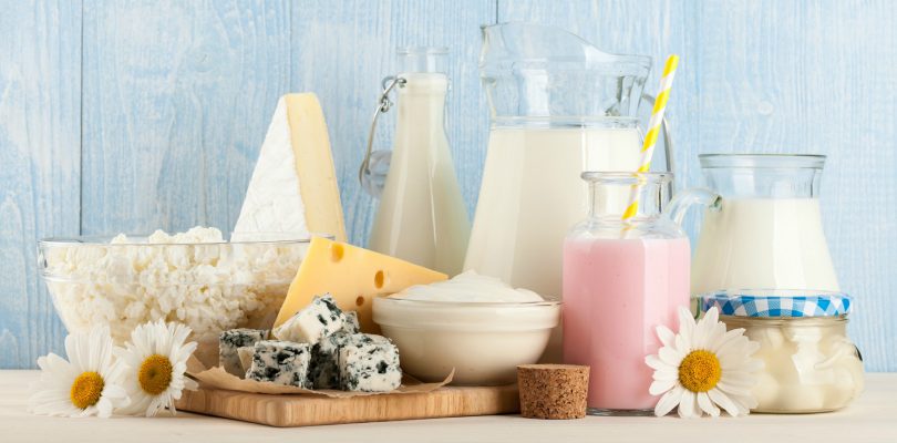 What is the role of lactose?