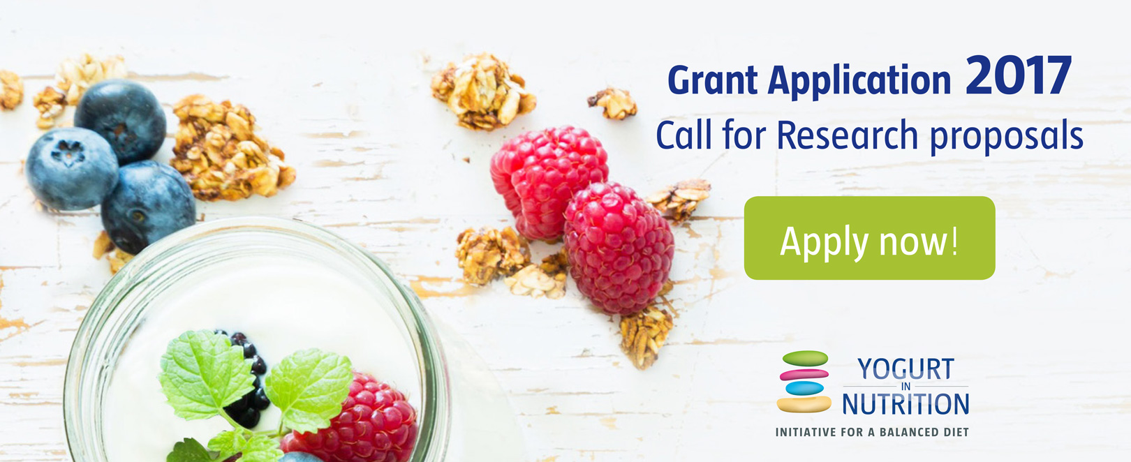 2017 Call for YINI Research Proposals