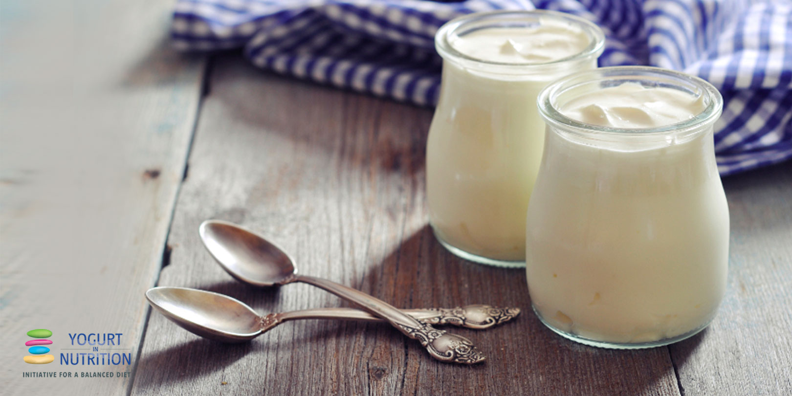 Qué es el yogur? Preguntas frecuentes - Yogurt in Nutrition