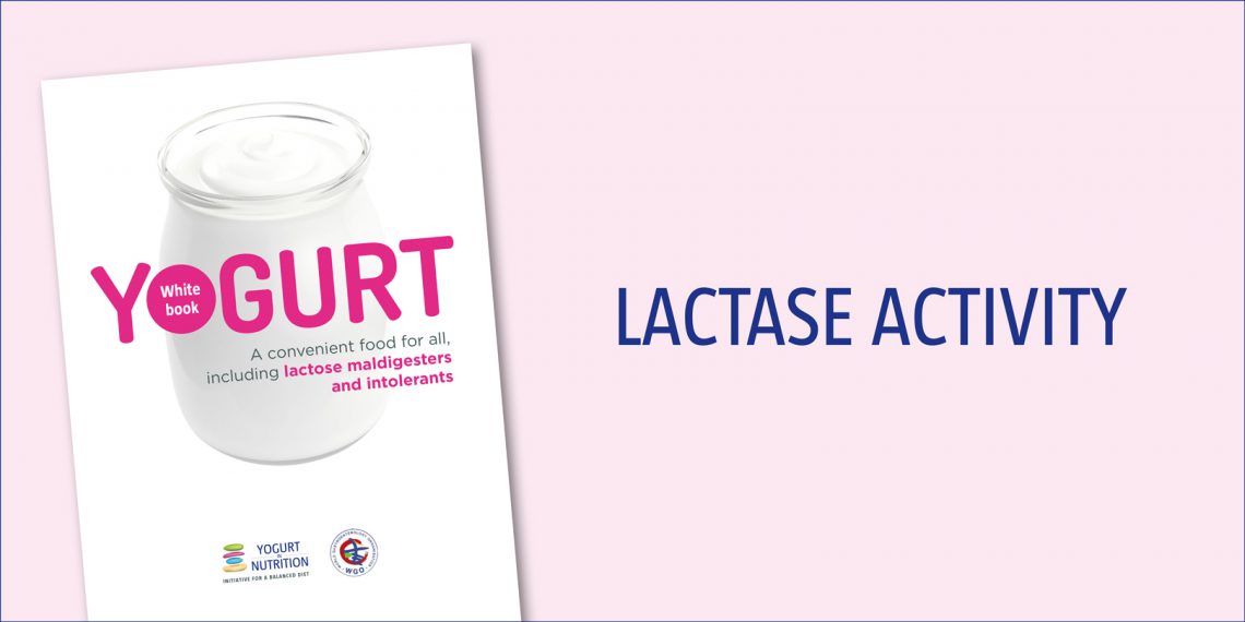 Lactase activity Yogurt in Nutrition