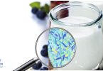 how-yogurt-consumption-impacts-microbiota