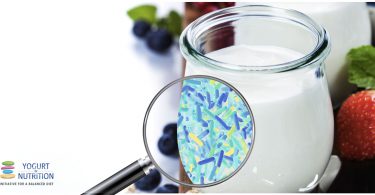 how-yogurt-consumption-impacts-microbiota