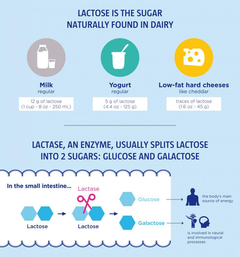 Lactose Sources Lactose is the sugar naturally found in dairy - Yogurt in Nutrition