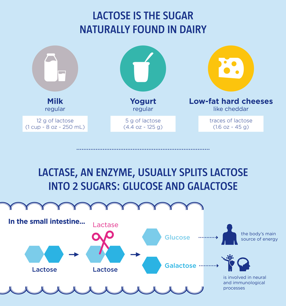 infographic-lactose-wgo-1
