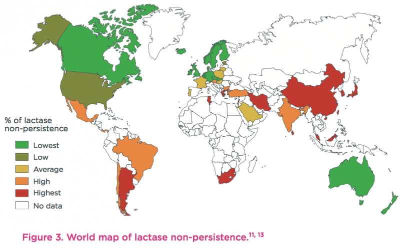 Lactase activity Yogurt in Nutrition