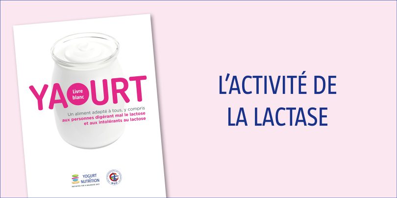 lactivite-de-la-lactase