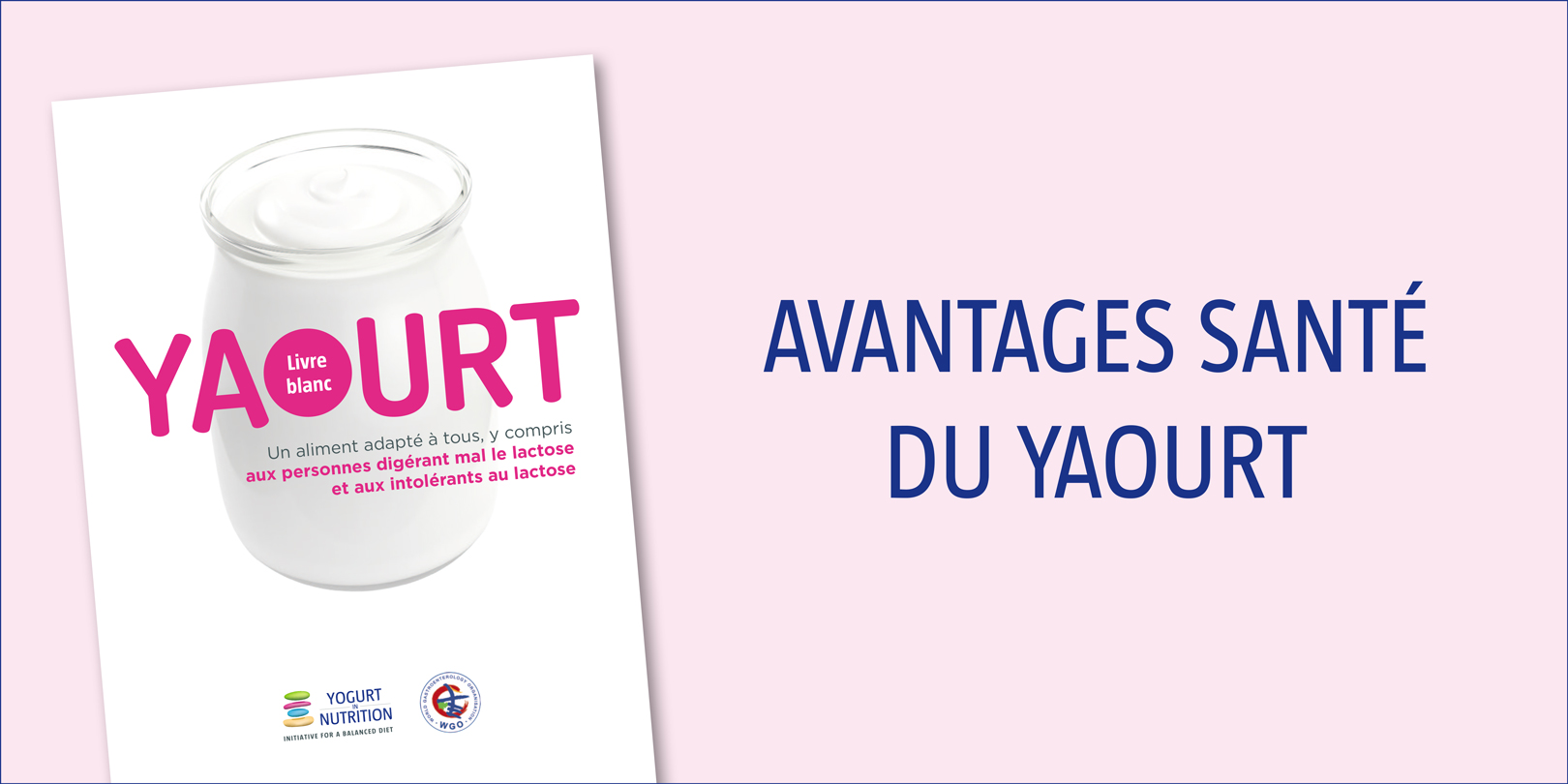 Le yogourt : calories et bienfaits santé