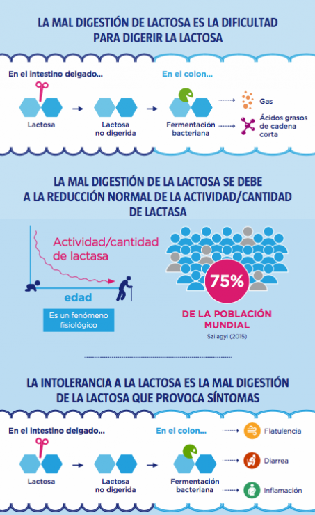 dificultad-digerir-lactosa