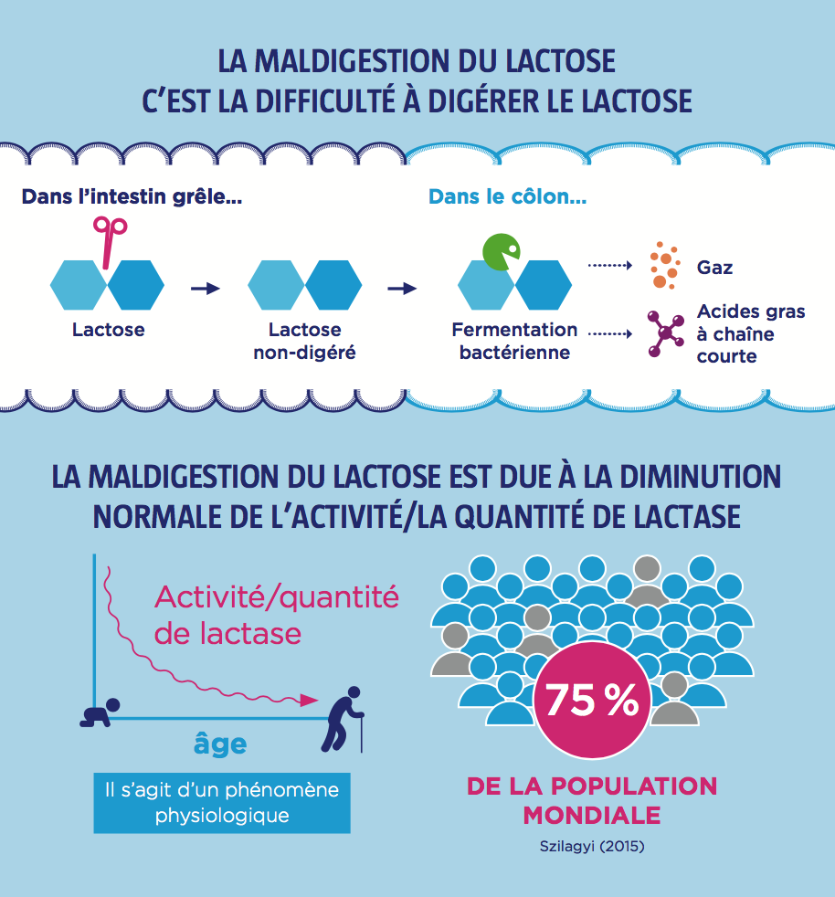 intolerance-lactose-wgo