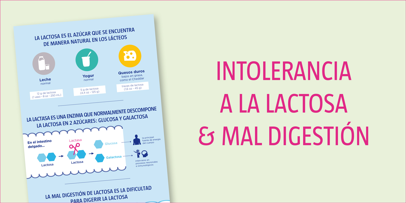 intolerancia-a-la-lactosa-mal-digestion