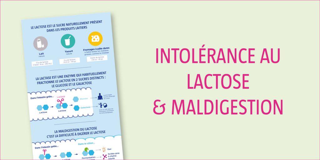 L'intolérance au lactose expliquée en images Yogurt in Nutrition