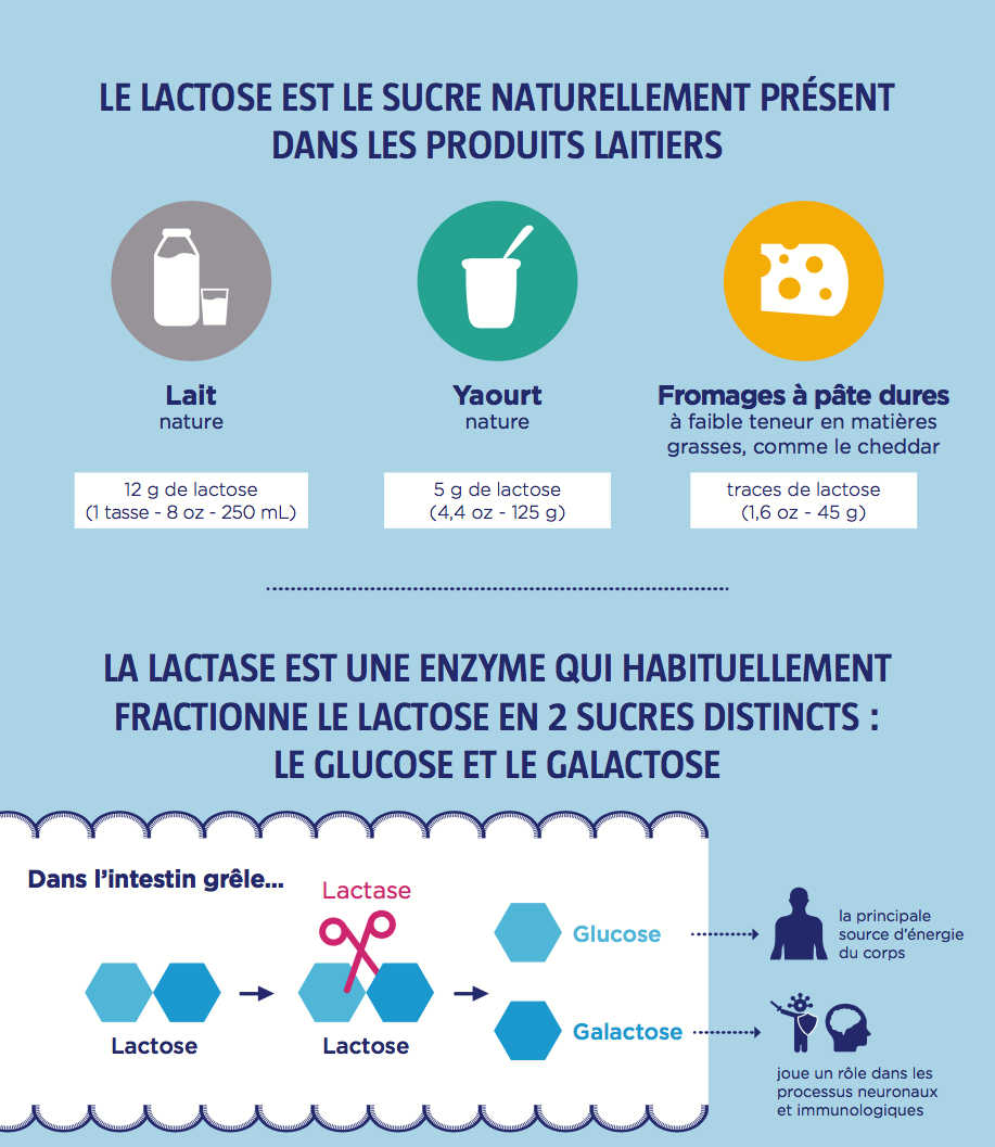 wgo-lactase-enzymes