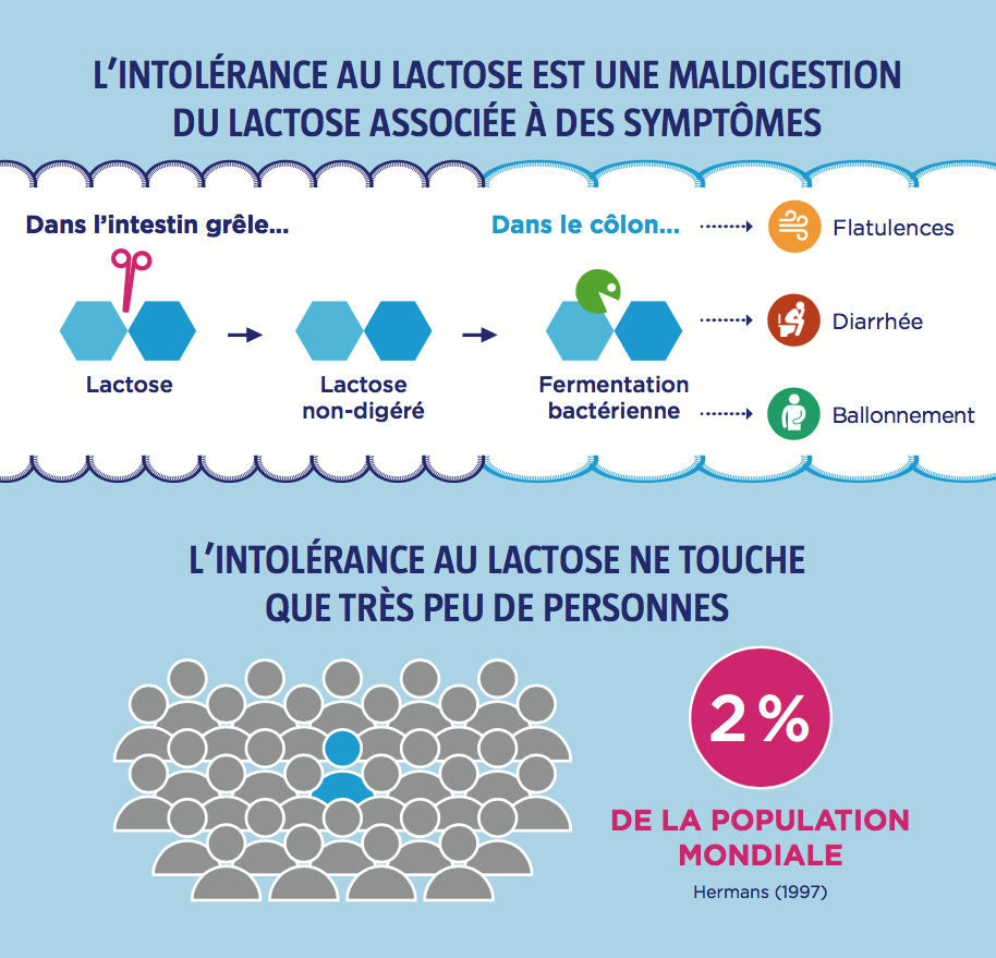 wgo-lactose-maldigestion