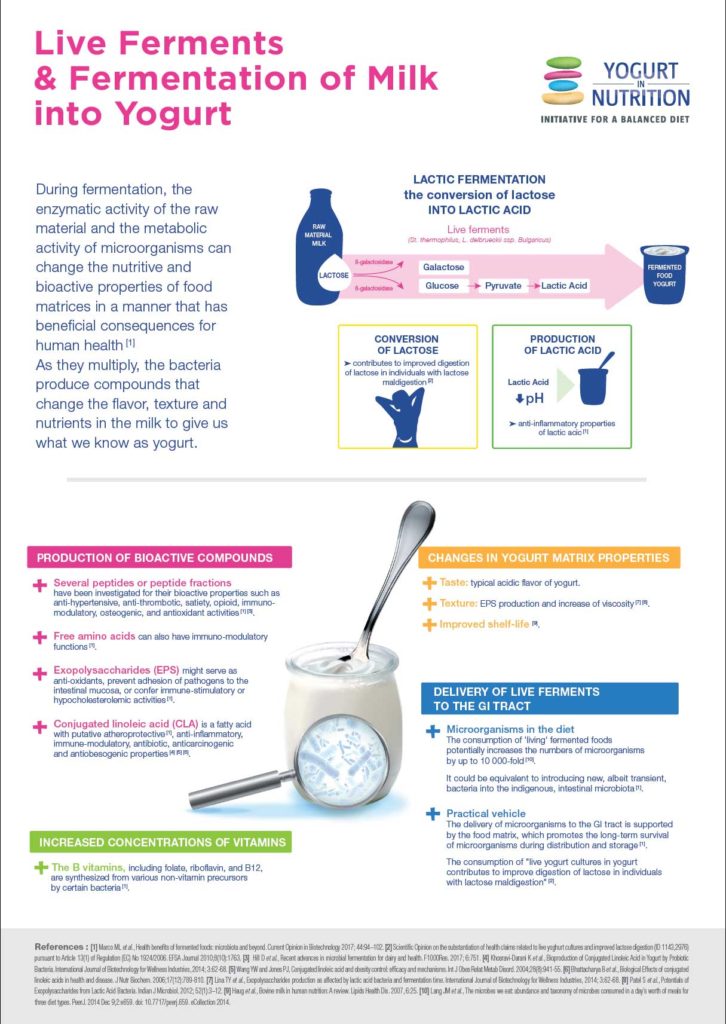 YINI Infographics Live ferments and fermentation of milk into yogurt