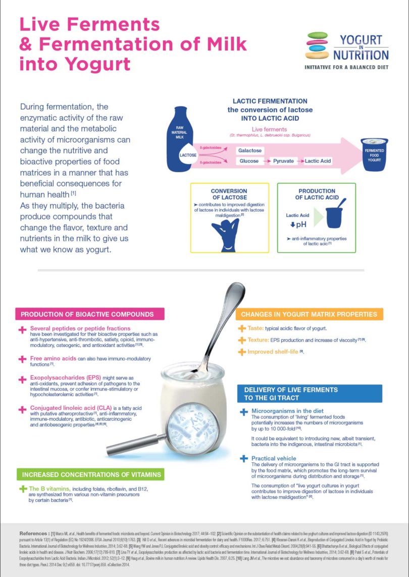 Live ferments & fermentation of milk into yogurt - Yini Infographics Liveferments 810x1142