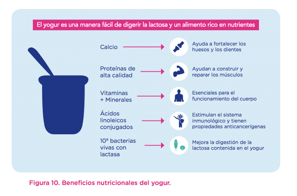 Los beneficios del yogur para la salud Yogurt in Nutrition