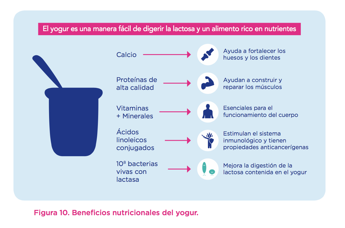 La importancia de las cepas y fermentos de los yogures en la salud 