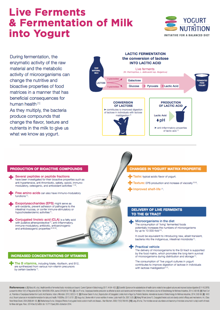 yogurtfermentationbenefits Yogurt in Nutrition