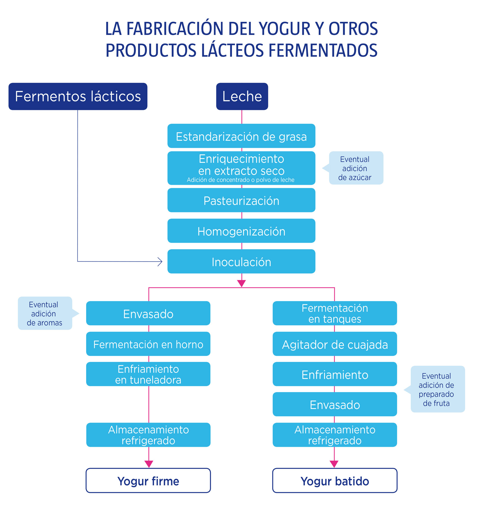 Fermentos para hacer yogur