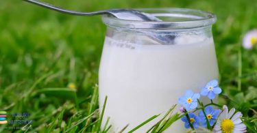 dairy products are nutrient-rich, affordable and appealing
