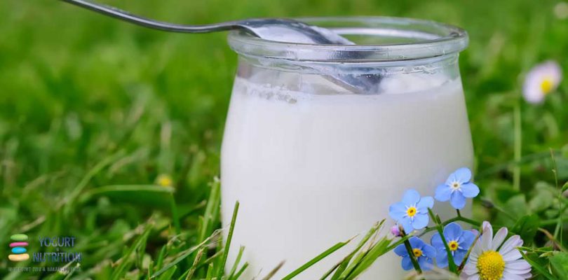 Affordable dairy for a healthy diet