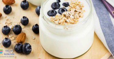 antioxidant potential of yogurt