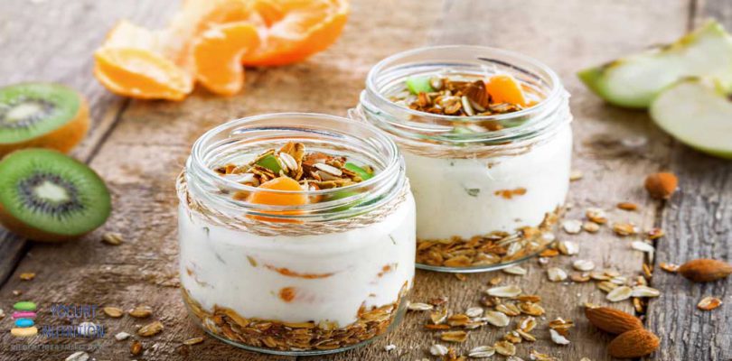 Yogurt a nutrient dense food in the dairy group