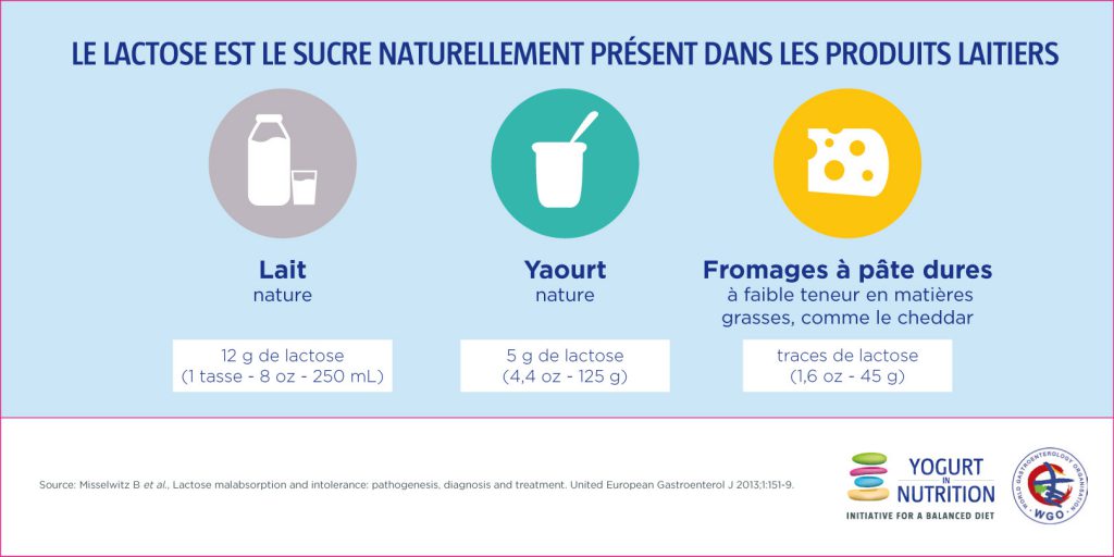 Le lactose un sure naturellement présent dans les produits laitiers