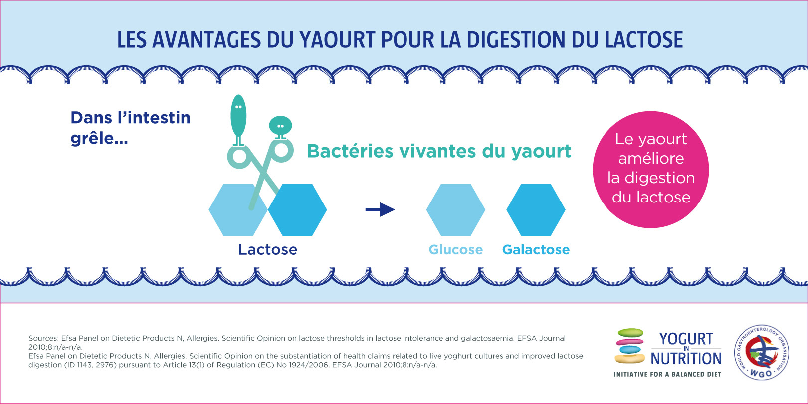 avantage du yaourt dans la digestion du lactose