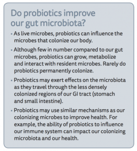 do probiotics improve our gut microbiota?