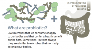 what are probiotics?