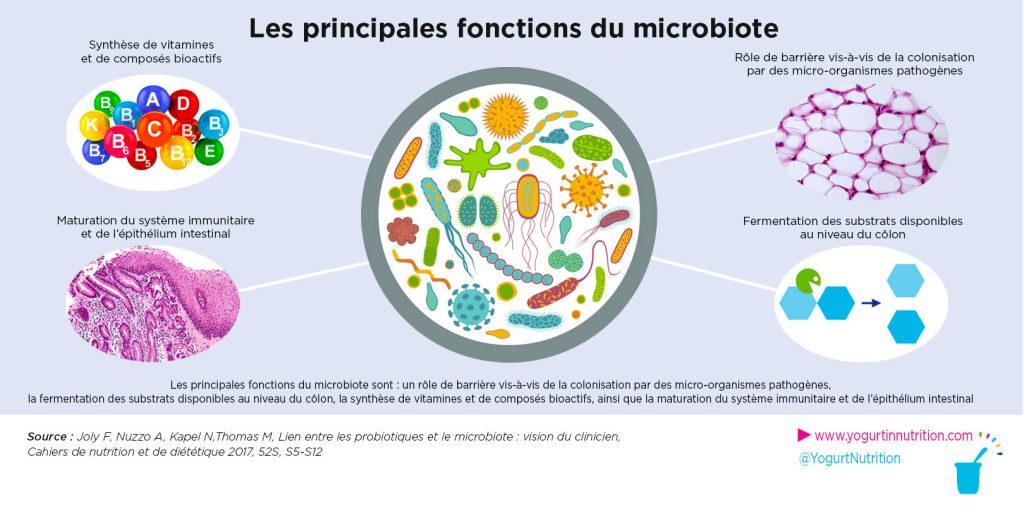 principales fonctions du microbiote intestinal