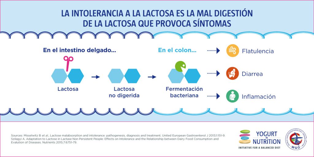 La intolerancia a la lactosa es la mal digestion de la lactosa que provoca sintomas