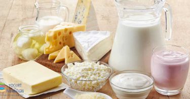 Preventing cardiometabolic disease: new insights into the role of fermented dairy foods