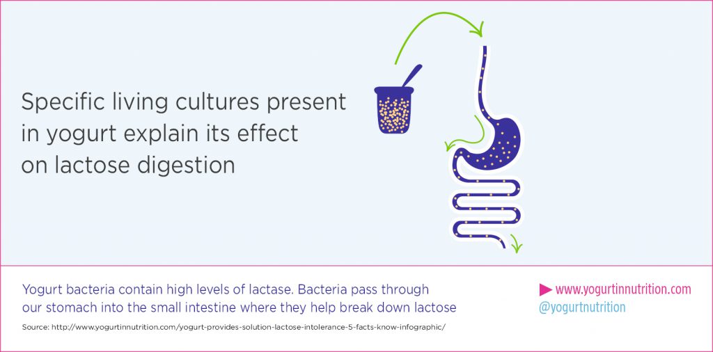 specific living cultures present in yogurt explain its effect on lactose digestion