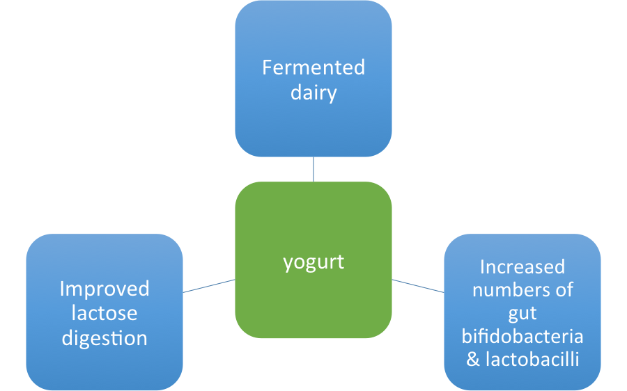 hutkins fermentation benefits nutrition 2018 boston yogurt