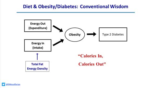 diet & obesity/diabetes: conventional wisdom by d mozaffarian