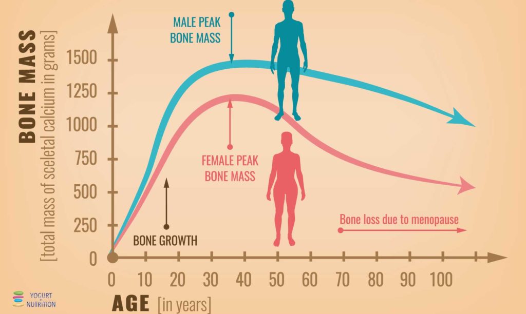 YINI - bone mass evolution