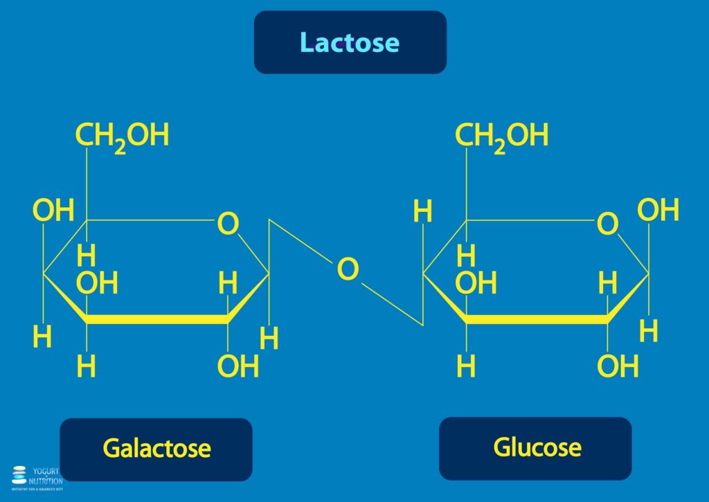 YINI lactose molecule