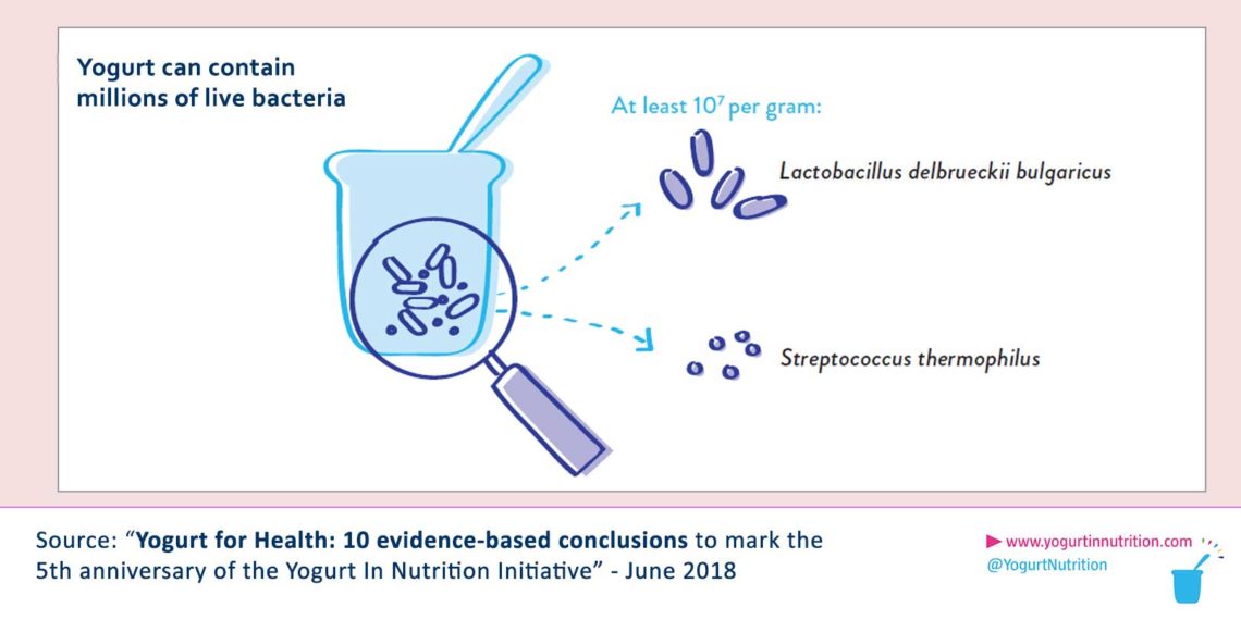 Yogurt can deliver millions of live bacteria to the gut Yogurt in