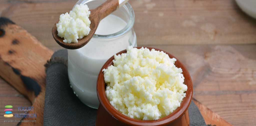 Fermented foods and yogurt?